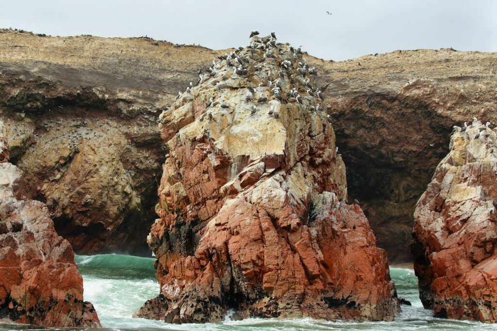 Ballestas-Inseln in Peru